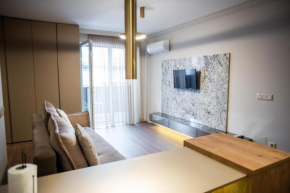 Central luxury apartment